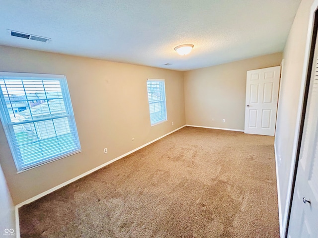 carpeted empty room with a textured ceiling and a wealth of natural light