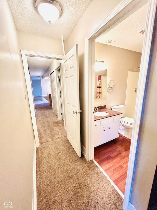 corridor with a textured ceiling, sink, and light carpet