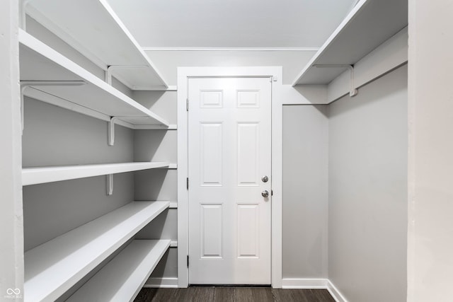 spacious closet with dark hardwood / wood-style flooring