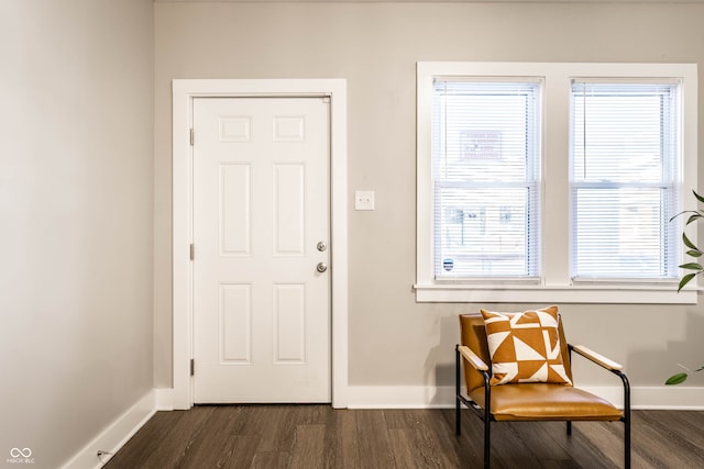 doorway to outside featuring dark wood-type flooring