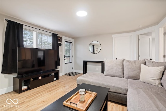 living room with wood-type flooring