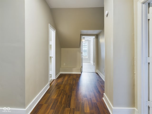 hallway featuring dark wood-type flooring