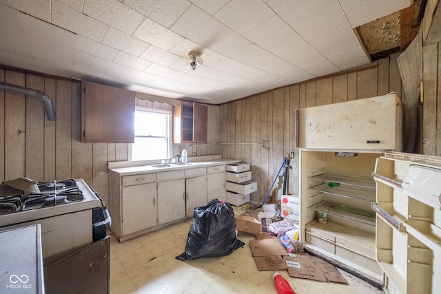 kitchen with wooden walls, white gas stove, refrigerator, and sink