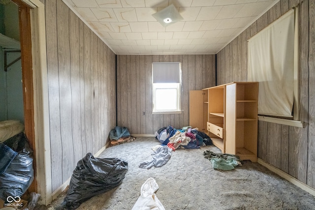 miscellaneous room featuring carpet and wooden walls