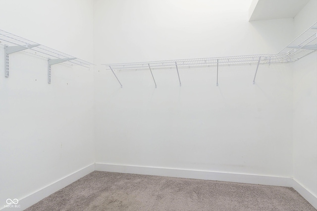 spacious closet with light colored carpet