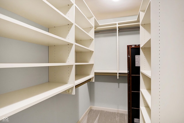 spacious closet featuring carpet floors