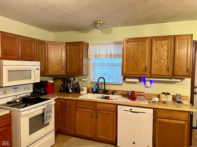 kitchen with a textured ceiling, white appliances, light hardwood / wood-style flooring, and sink