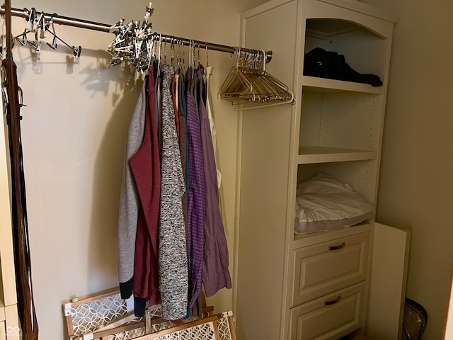 view of spacious closet