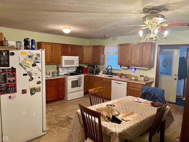 kitchen featuring ceiling fan, sink, light hardwood / wood-style flooring, a textured ceiling, and white appliances