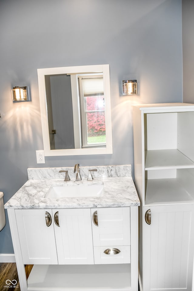 bathroom featuring hardwood / wood-style floors and vanity