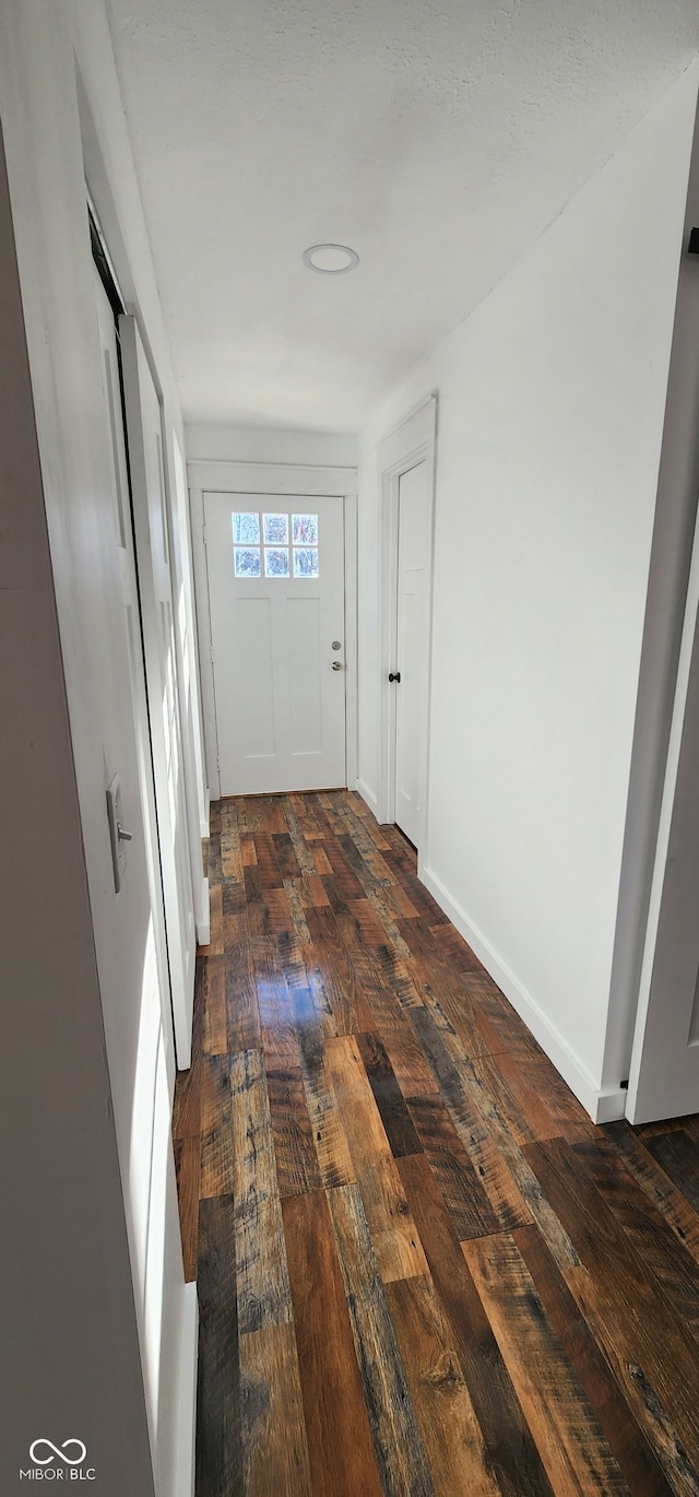 corridor with dark wood-type flooring