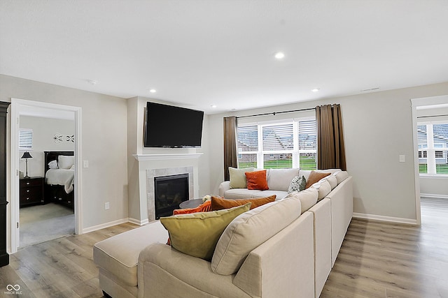 living room with light wood-type flooring and a healthy amount of sunlight