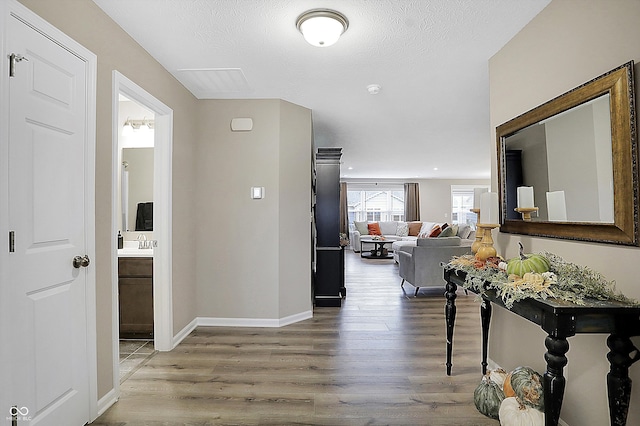 corridor with hardwood / wood-style flooring, sink, and a textured ceiling