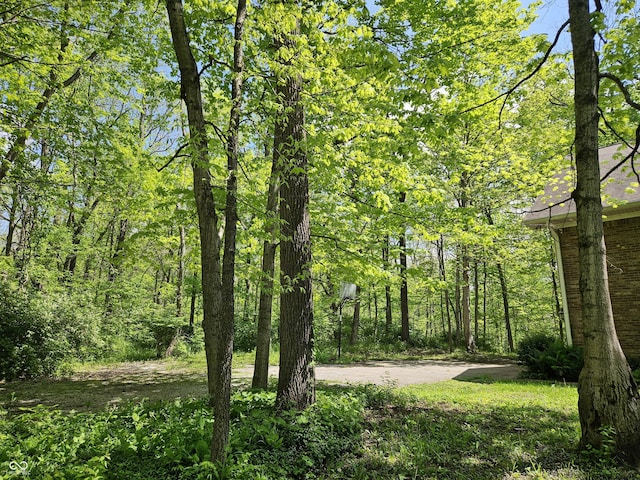 4257 Tattersall Dr, Plainfield, IN 46168 - view of wooded area