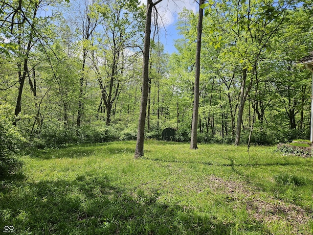 4257 Tattersall Dr, Plainfield, IN 46168 - view of tree filled area