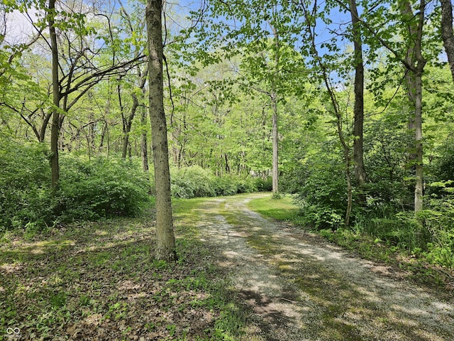 4257 Tattersall Dr, Plainfield, IN 46168 - view of dirt / gravel road featuring a wooded view