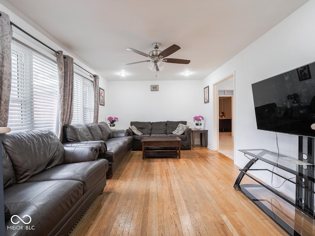 living room with ceiling fan and light wood-type flooring