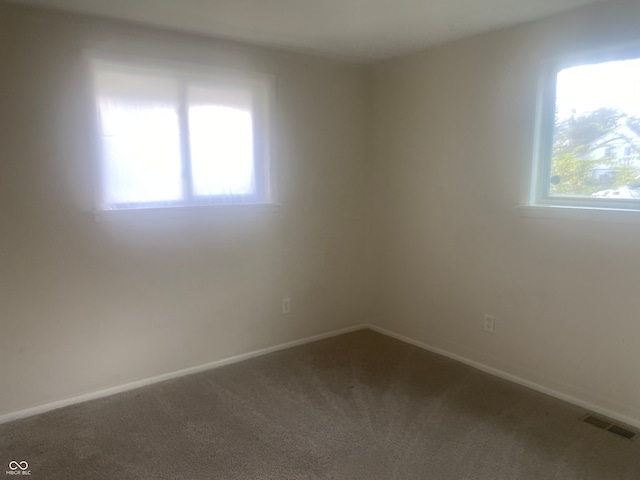 spare room with carpet