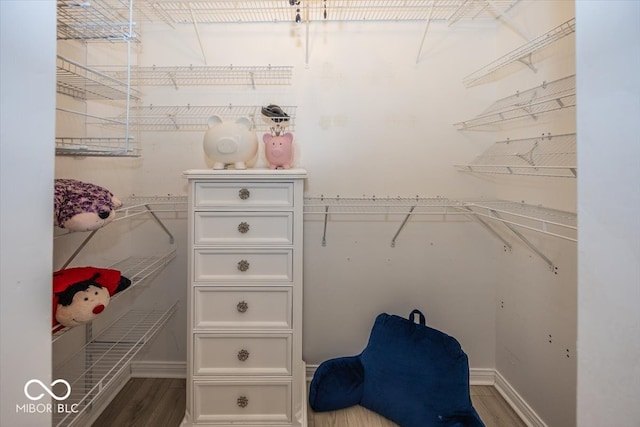 walk in closet featuring dark hardwood / wood-style floors