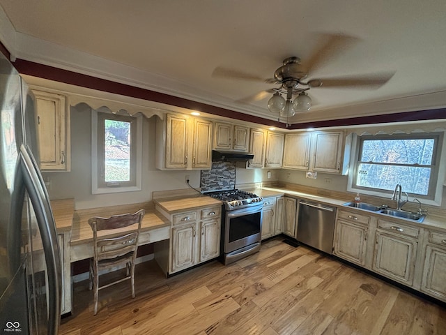 kitchen featuring light wood-type flooring, stainless steel appliances, plenty of natural light, and sink