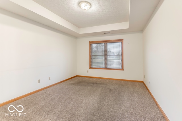 unfurnished room with carpet flooring, a textured ceiling, and a raised ceiling