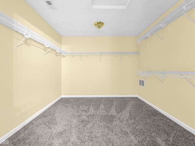 walk in closet featuring carpet floors