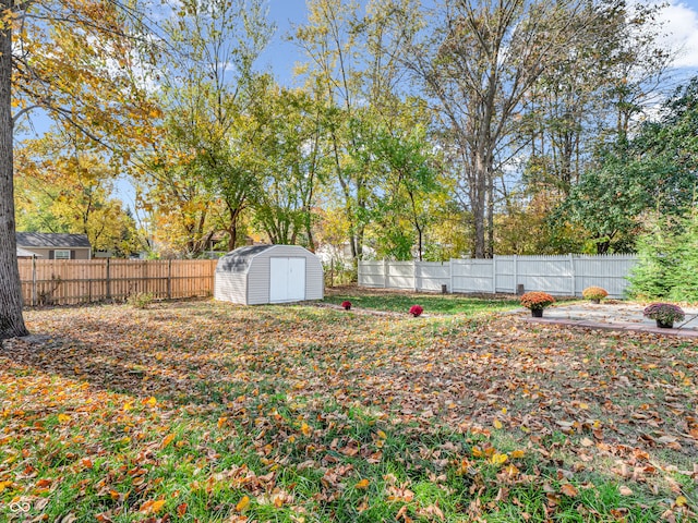 view of yard featuring a shed