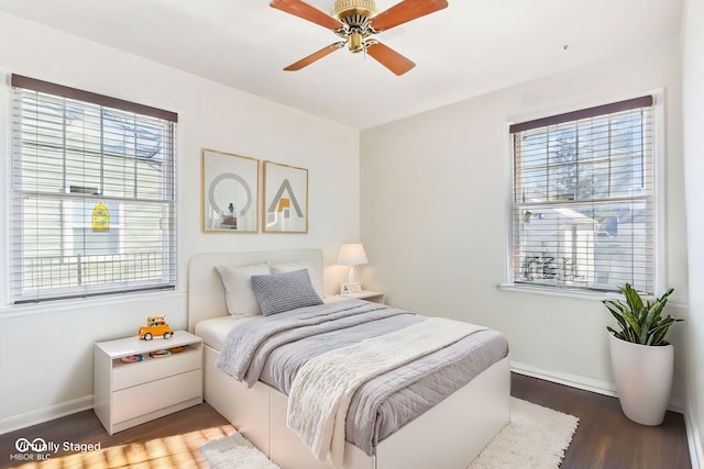 bedroom with multiple windows, dark hardwood / wood-style flooring, and ceiling fan