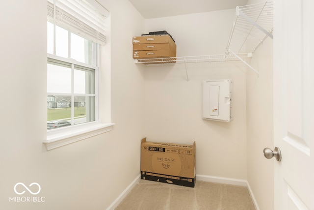 spacious closet with carpet