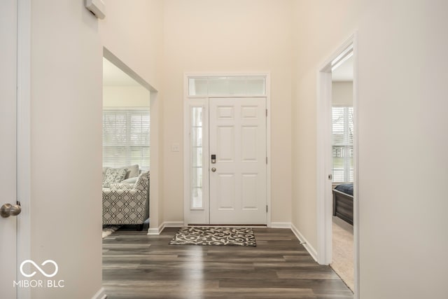 entryway featuring dark hardwood / wood-style flooring