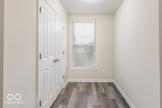 interior space featuring dark hardwood / wood-style flooring