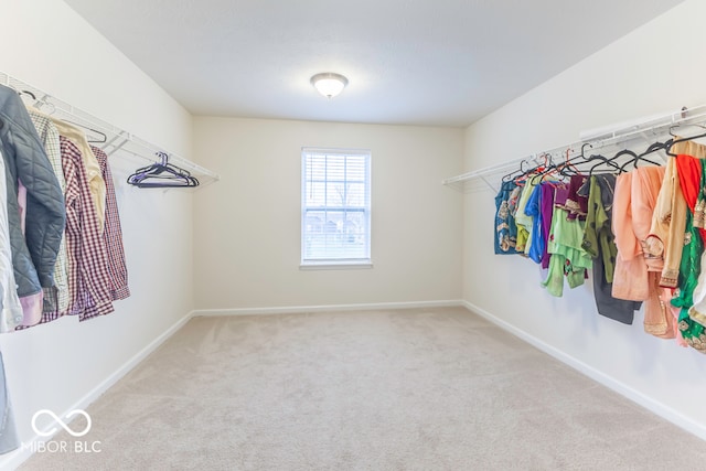 spacious closet with light colored carpet