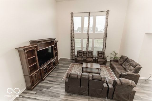 living room with hardwood / wood-style floors