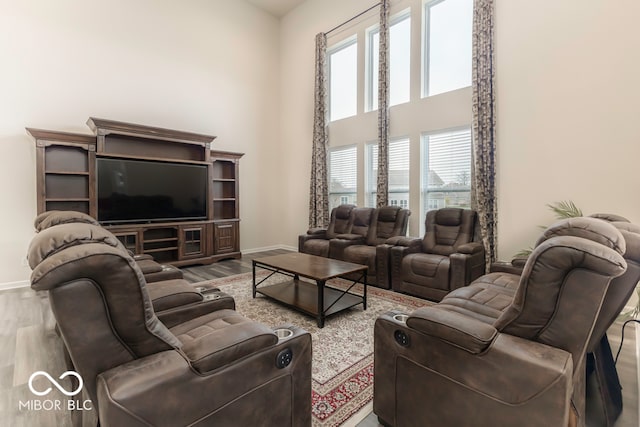 living room featuring hardwood / wood-style floors and a high ceiling