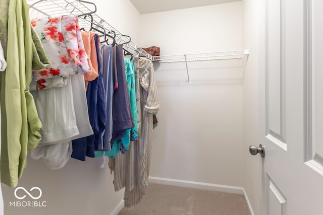 walk in closet featuring carpet floors