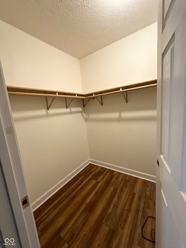 spacious closet with dark hardwood / wood-style floors