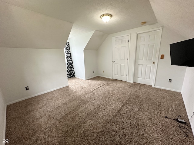 additional living space featuring carpet flooring, a textured ceiling, and lofted ceiling