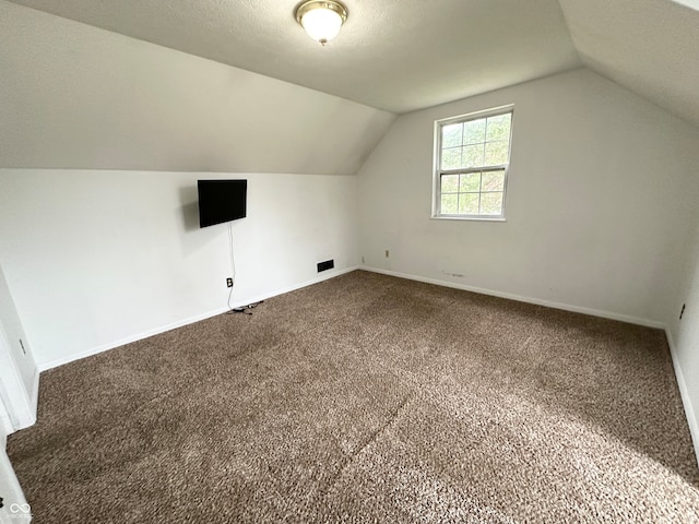 additional living space featuring carpet, a textured ceiling, and vaulted ceiling