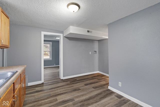 kitchen with sink, dark wood-type flooring, and a textured ceiling