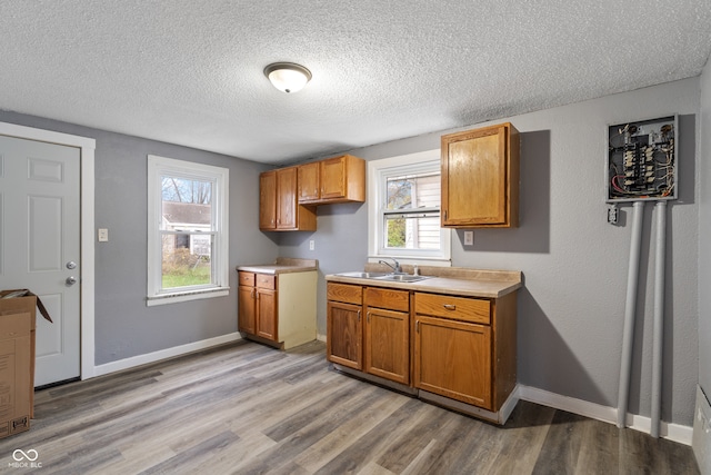 kitchen featuring sink, plenty of natural light, a textured ceiling, and light wood-type flooring