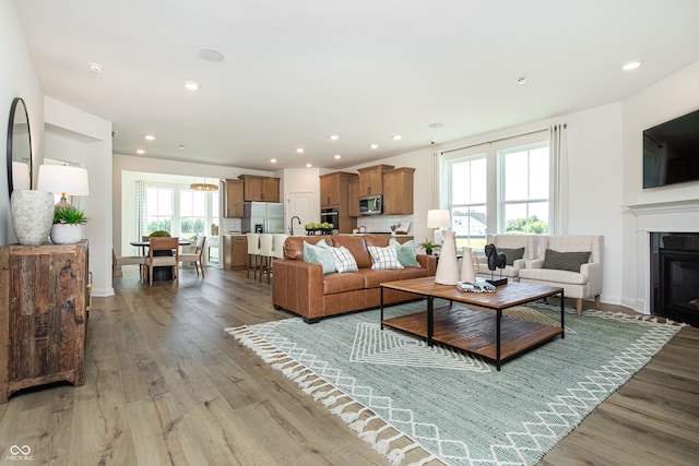 living room with plenty of natural light, sink, and hardwood / wood-style floors