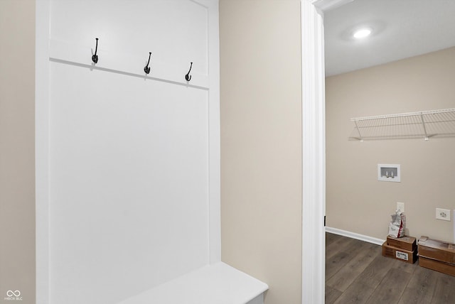 mudroom featuring dark hardwood / wood-style floors