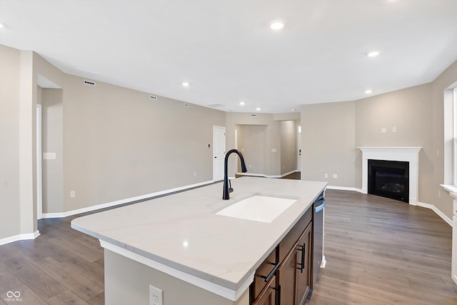 kitchen featuring light stone counters, sink, wood-type flooring, and an island with sink