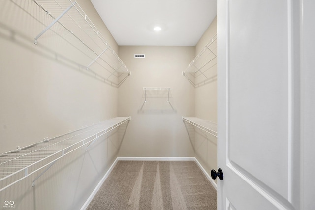 spacious closet featuring carpet