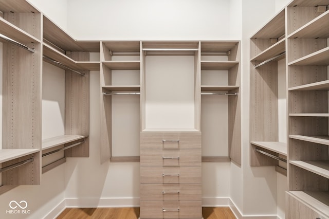 walk in closet featuring light hardwood / wood-style flooring