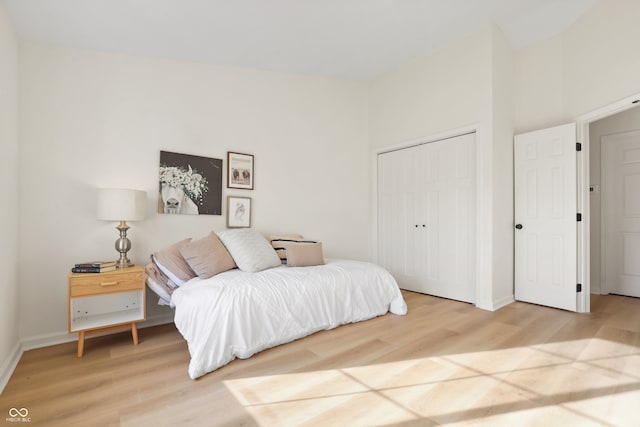 bedroom featuring a closet and hardwood / wood-style floors