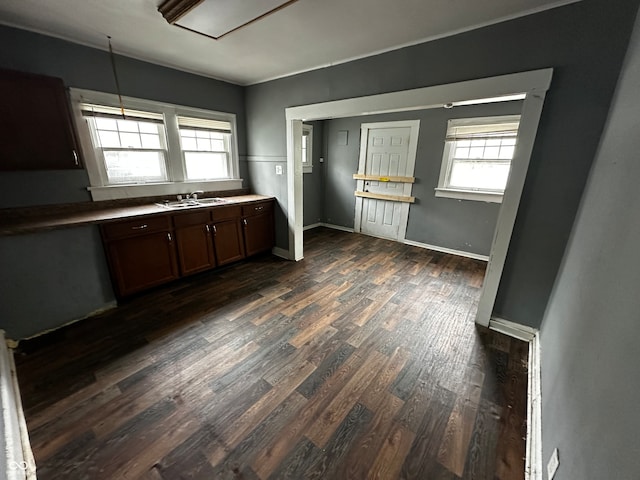 kitchen featuring dark hardwood / wood-style flooring, dark brown cabinetry, and sink