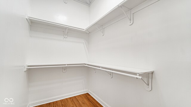 spacious closet with dark wood-style floors