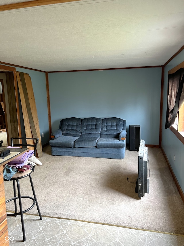 living room featuring carpet floors and ornamental molding