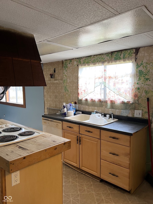 kitchen with dishwashing machine, exhaust hood, sink, light brown cabinets, and butcher block countertops